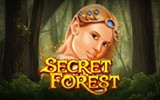 Secret Forest