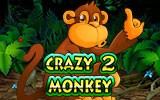 Crazy Monkey 2