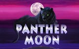 Panther Moon