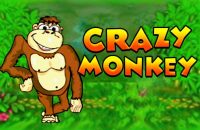 Crazy Monkey